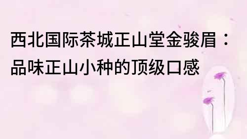 西北國際茶城正山堂金駿眉：品味正山小種的頂級口感