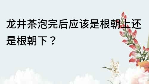 龍井茶泡完后應該是根朝上還是根朝下？