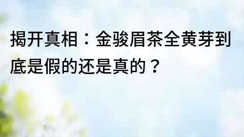 揭開真相：金駿眉茶全黃芽到底是假的還是真的？