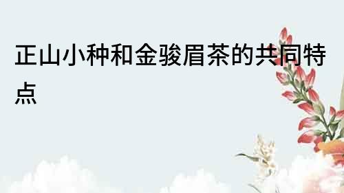 正山小種和金駿眉茶的共同特點