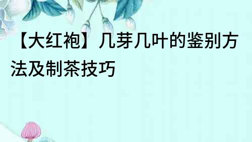 【大紅袍】幾芽幾葉的鑒別方法及制茶技巧