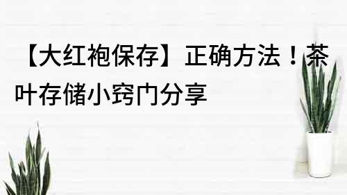 【大紅袍保存】正確方法！茶葉存儲小竅門分享