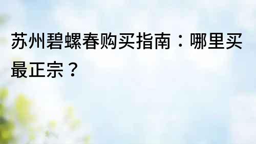 蘇州碧螺春購買指南：哪里買最正宗？
