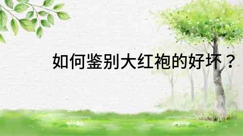 如何鑒別大紅袍的好壞？