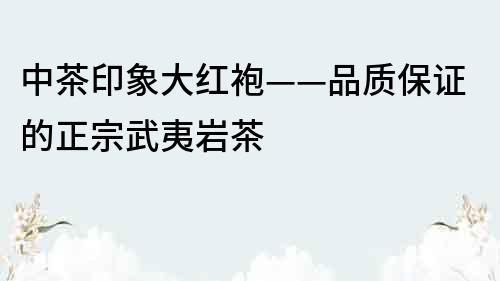 中茶印象大紅袍——品質保證的正宗武夷巖茶