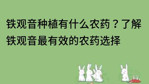 鐵觀音種植有什么農藥？了解鐵觀音最有效的農藥選擇
