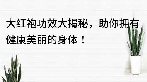 大紅袍功效大揭秘，助你擁有健康美麗的身體！