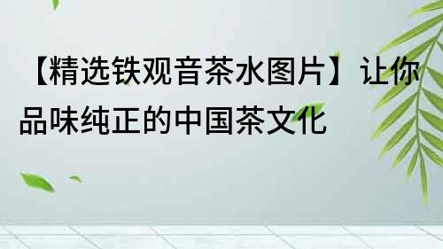 【精選鐵觀音茶水圖片】讓你品味純正的中國茶文化