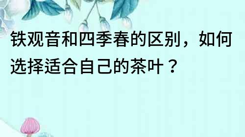 鐵觀音和四季春的區(qū)別，如何選擇適合自己的茶葉？