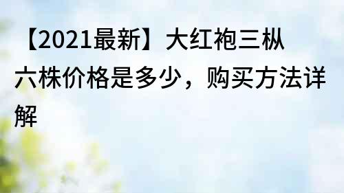 【2022最新】大紅袍三樅六株價(jià)格是多少，購(gòu)買(mǎi)方法詳解