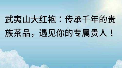 武夷山大紅袍：傳承千年的貴族茶品，遇見你的專屬貴人！