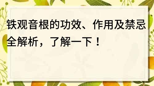 鐵觀音根的功效、作用及禁忌全解析，了解一下！