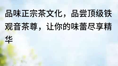 品味正宗茶文化，品嘗頂級鐵觀音茶尊，讓你的味蕾盡享精華