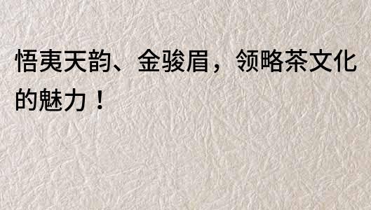 悟夷天韻、金駿眉，領略茶文化的魅力！