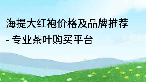 海提大紅袍價格及品牌推薦 - 專業茶葉購買平臺