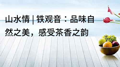 山水情 | 鐵觀音：品味自然之美，感受茶香之韻