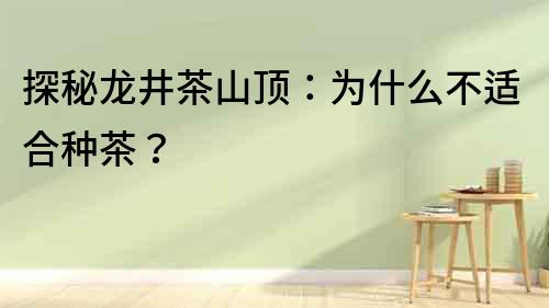 探秘龍井茶山頂：為什么不適合種茶？
