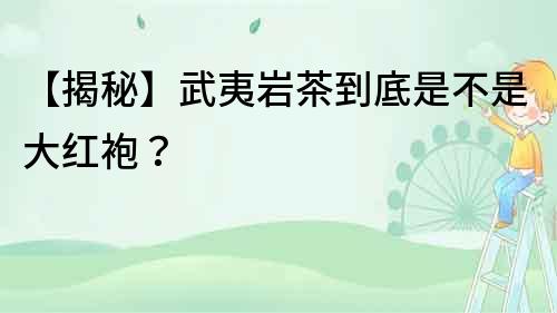 【揭秘】武夷巖茶到底是不是大紅袍？
