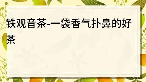 鐵觀音茶-一袋香氣撲鼻的好茶