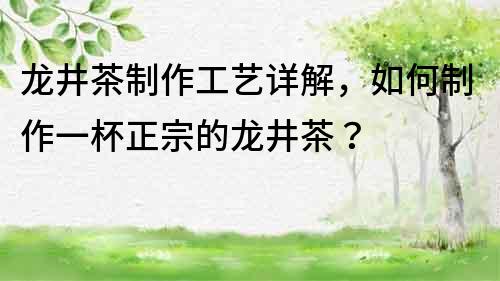 龍井茶制作工藝詳解，如何制作一杯正宗的龍井茶？