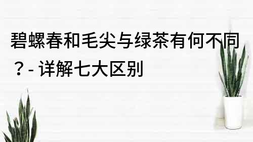 碧螺春和毛尖與綠茶有何不同？- 詳解七大區別