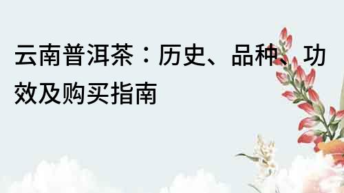 云南普洱茶：歷史、品種、功效及購買指南