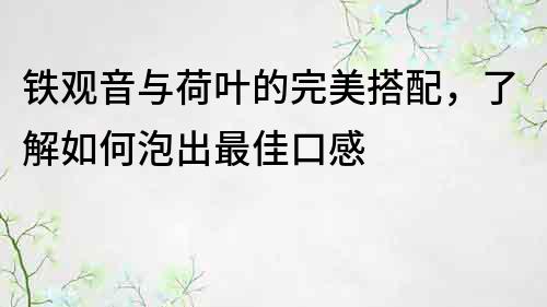 鐵觀音與荷葉的完美搭配，了解如何泡出最佳口感
