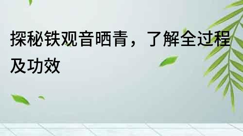 探秘鐵觀音曬青，了解全過程及功效