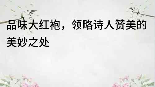 品味大紅袍，領(lǐng)略詩人贊美的美妙之處