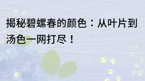 揭秘碧螺春的顏色：從葉片到湯色一網(wǎng)打盡！