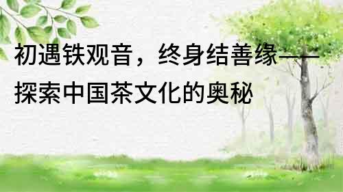 初遇鐵觀音，終身結善緣——探索中國茶文化的奧秘
