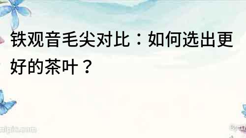 鐵觀音毛尖對比：如何選出更好的茶葉？