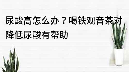 尿酸高怎么辦？喝鐵觀音茶對降低尿酸有幫助