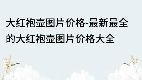 大紅袍壺圖片價格-最新最全的大紅袍壺圖片價格大全