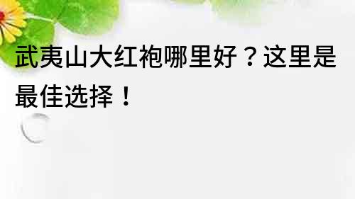 武夷山大紅袍哪里好？這里是最佳選擇！
