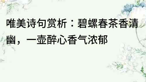 唯美詩句賞析：碧螺春茶香清幽，一壺醉心香氣濃郁