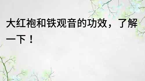 大紅袍和鐵觀音的功效，了解一下！
