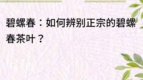 碧螺春：如何辨別正宗的碧螺春茶葉？