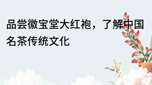 品嘗徽寶堂大紅袍，了解中國(guó)名茶傳統(tǒng)文化