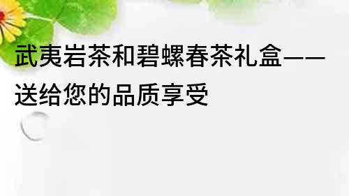 武夷巖茶和碧螺春茶禮盒——送給您的品質(zhì)享受