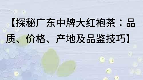 【探秘廣東中牌大紅袍茶：品質、價格、產地及品鑒技巧】