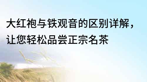 大紅袍與鐵觀音的區(qū)別詳解，讓您輕松品嘗正宗名茶