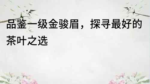 品鑒一級金駿眉，探尋最好的茶葉之選