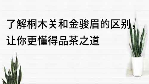 了解桐木關和金駿眉的區別，讓你更懂得品茶之道