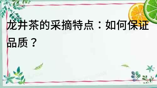 龍井茶的采摘特點：如何保證品質？