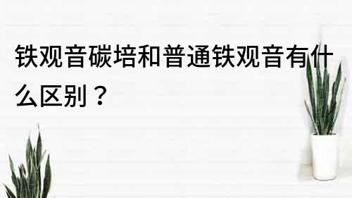 鐵觀音碳培和普通鐵觀音有什么區(qū)別？