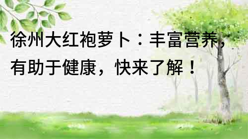 徐州大紅袍蘿卜：豐富營養，有助于健康，快來了解！