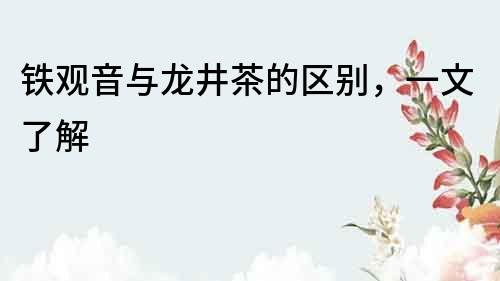 鐵觀音與龍井茶的區別，一文了解