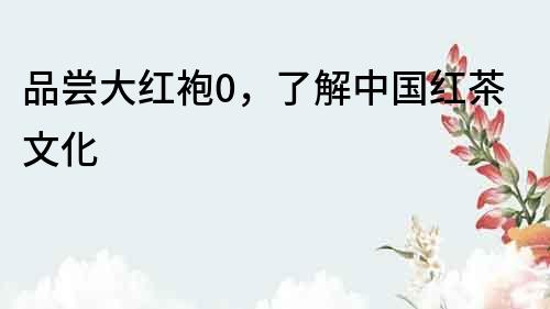 品嘗大紅袍0，了解中國紅茶文化