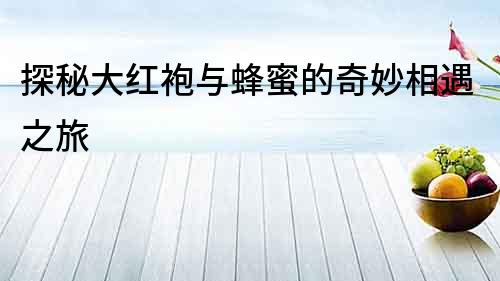探秘大紅袍與蜂蜜的奇妙相遇之旅